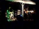 killeur calculateur - tigers gone ape