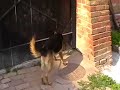 Bozont h�zat ?riz