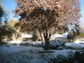 Snow melt time lapse