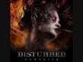 Disturbed-Parasite-L