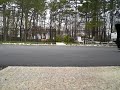 longboard ollie