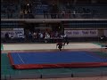 wushu xian