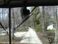 Highlander Folk School - Monteagle, Tennessee