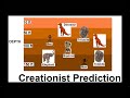 Proof of Evo 3- Atavisms and Fossils (Final) Proof of Evo 3- Atavisms and Fossils (Final)