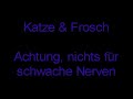 Katze &amp; Frosch
