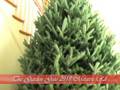 videos de Rocking Around the Christmas Tree