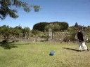stykball instructional video