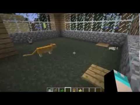 how to get a cat i minecraft