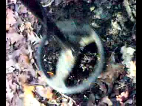 garett fisher minelab - a pulire il bosco dalle cartucce lasciate dai cacciatori con il mio metal detector xp maxxim 2 power anzio beach head found relict metal detector found find ...