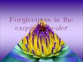 forgiveness is the exquisite healer in and available to all of us.  part i introduces us to why we think and feel the way we do as a response to our life experiences.  in this excerpt from the book by harold w. becker, unconditional love -- an unlimited way of being, he shares that mistakes are just misunderstood experiences and that whatever is before us is simply a reflection of our own energy from times gone by.  he further explains how we perceive and filter life through our limited senses and then form opinions and judgments accordingly.  our personality/ego often takes hold of these perspectives and we become victims or victimizers, self critical or judgmental of others.  once we realize the power of forgiveness, we can fully release these opinions we have created and accepted as real.  when we go within and heal and forgive our own thoughts, feelings, words and actions, we better understand the world around us. no matter how difficult or incredulous the experience, forgiveness is the exquisite healer in all of us - it is unconditional love in action.  for more, go to www.thelovefoundation.com 

the love foundation is a 501(c) 3 nonprofit organization with the mission of inspiring people to love unconditionally. established in 2000, tlf has become the internationally recognized leading resource for understanding and applying unconditional love. our vision is to assist people by building a practical foundation and experience of love within individuals and society as a whole, through our education, research and charitable programs.  
