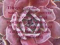 forgiveness is the exquisite healer in and available to all of us.  part i introduces us to why we think and feel the way we do as a response to our life experiences.  in this excerpt from the book by harold w. becker, unconditional love -- an unlimited way of being, he shares that mistakes are just misunderstood experiences and that whatever is before us is simply a reflection of our own energy from times gone by.  he further explains how we perceive and filter life through our limited senses and then form opinions and judgments accordingly.  our personality/ego often takes hold of these perspectives and we become victims or victimizers, self critical or judgmental of others.  once we realize the power of forgiveness, we can fully release these opinions we have created and accepted as real.  when we go within and heal and forgive our own thoughts, feelings, words and actions, we better understand the world around us. no matter how difficult or incredulous the experience, forgiveness is the exquisite healer in all of us - it is unconditional love in action.  for more, go to www.thelovefoundation.com 

the love foundation is a 501(c) 3 nonprofit organization with the mission of inspiring people to love unconditionally. established in 2000, tlf has become the internationally recognized leading resource for understanding and applying unconditional love. our vision is to assist people by building a practical foundation and experience of love within individuals and society as a whole, through our education, research and charitable programs.  