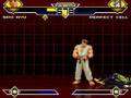 BMC MUGEN 8 - S.P.O. Ryu (me) vs Pefect Cell (CHOUJIN)
