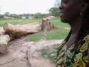 WellBiz baut Schule in Sierra Leone