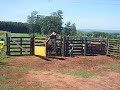 treino cia de rodeio 3c binho