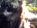 videos de Molotov Coctail Me