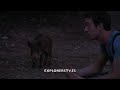 Tom explora Sierra Espu�a