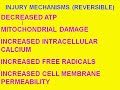 Medical School Pathology, Chapter 1c