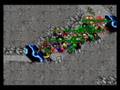 Zarq movie competition - The brave dies once.