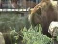Puťák 2007: ZOO Hluboká nad Vltavou