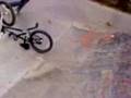 videos de alex cascade
