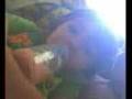 videos de eu e  o miusculaix em joinville.avi
