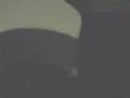 videos de Dick kills spider