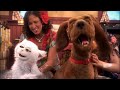 join amy, lomax, delta, and the kids for a flea bath and a rousing version of 