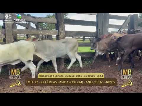 532� LEIL�O VIRTUAL MB LEIL�ES