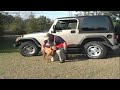Vizsla Riley Retriever Practice