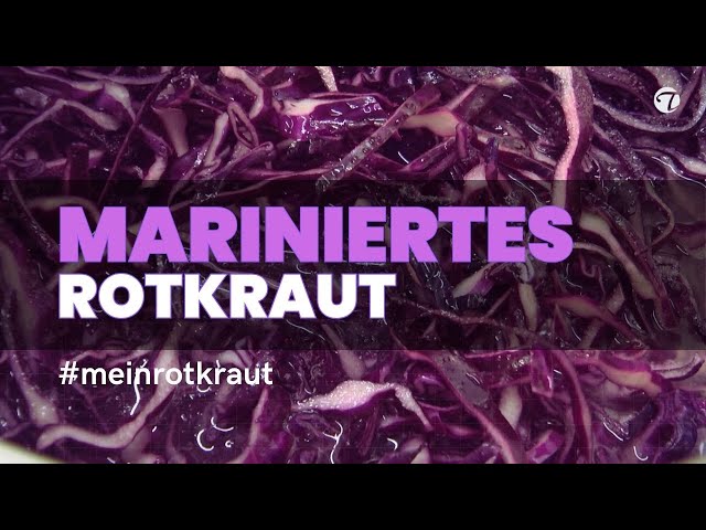 Mariniertes Rotkraut mit Beerengrütze