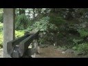 japon-odaiba-nikko