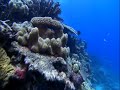 jazztronik - voyage (main mix instrumental)

taken from 