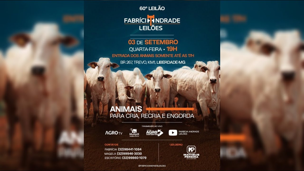 60º LEILÃO SÓ CORTE - FABRÍCIA ANDRADE LEILÕES - 03/09/2025