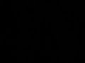 fdsad