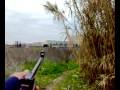 videos de Casando Enel Campo