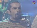 Lo bruno-ese amigo del alma-biombo buey