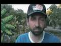 videos de Re: TALENZ
