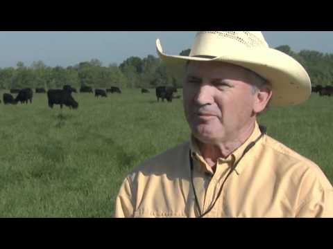 how to grow rye grass
