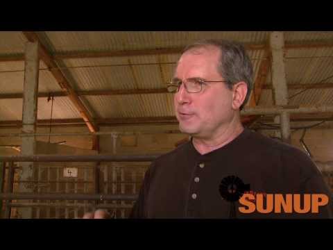 how to check pregnancy