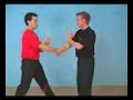Dragos WT: Cham-Kiu-Form (und Anwendungen)