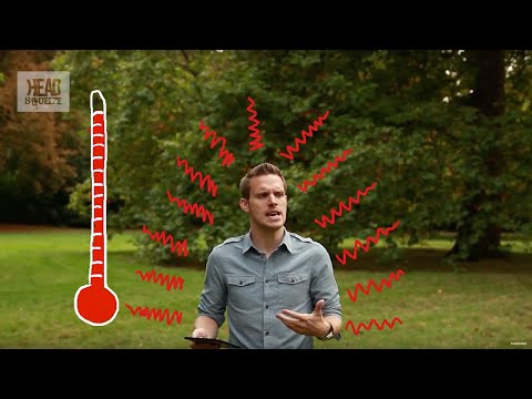 how to eliminate pyrogens