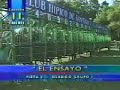 Crisantemo - Cl. El Ensayo 2001