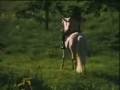 clip video Blonde Redhead Melody (French )