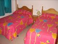 matalascañas alquiler de apartamentos pisos y chalets