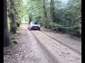 Spaaien in het bos 1 Spaaien in het bos 1