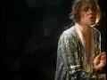 Ariel Pink - For Kate I Wait