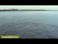 Pesca de Surubíes en Itá Ibaté (2-4) - Zona Safari TV Pesca de Surubíes en Itá Ibaté (2-4) - Zona Safari TV