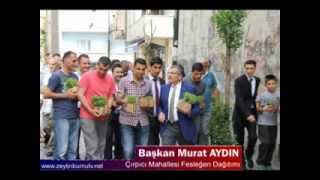 Başkan Aydın Çırpıcıda Fesleğen dağıttı