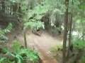 Whistler MTB