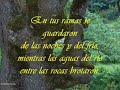 VIEJO ROBLE   (Poema recitado)